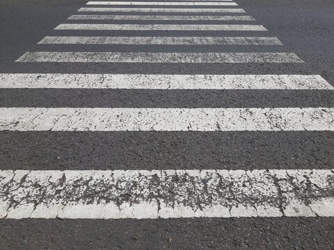 Low Angle View of White Pedestrian Zebra Crossing Lines on Asphalt