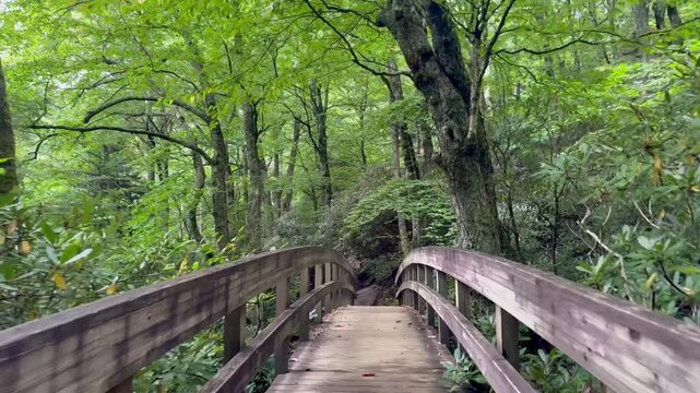 Crossing a wooden bridge along a hiking trail off the Blue Ridge Parkway near Blowing Rock in North Carolina. 