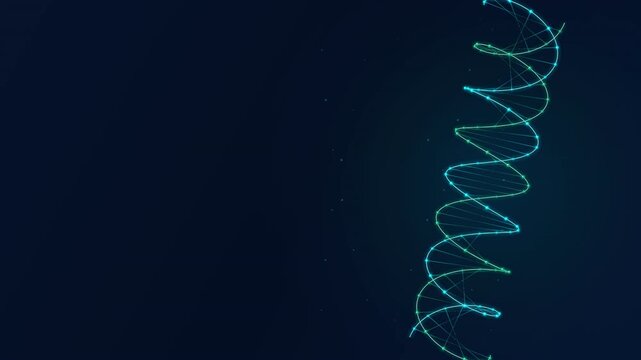 Neural Medical Synapse Connections and Biotechnology Network