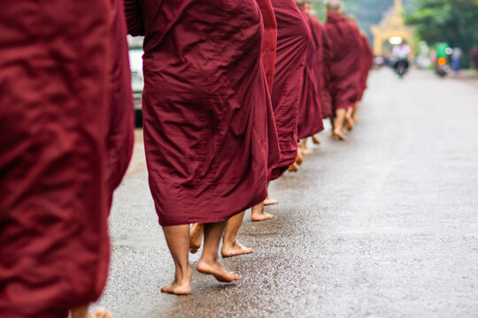 Morning procession of barefoot Buddhist monks, Myanmar.