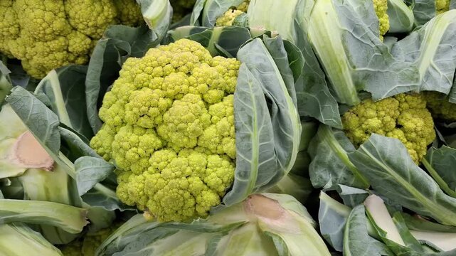 Fresh green cauliflower with leafy greens in a natural arrangement, healthy produce, culinary ingredient, vegetable display.