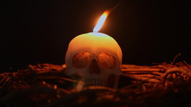 Human skull wax mold with fire flickering on the wick surrounded by twigs and sticks from the forest. Occult and esoteric witchcraft still life. Halloween background with magic ritual arrangement.