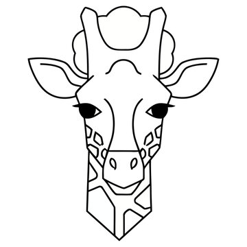 Giraffe head illustration