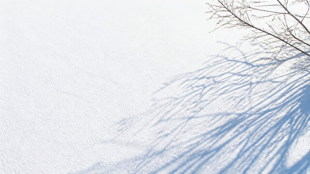 Minimalist winter 2026 background, pristine white snow with graphic bare branch shadows, clean architectural copy space design