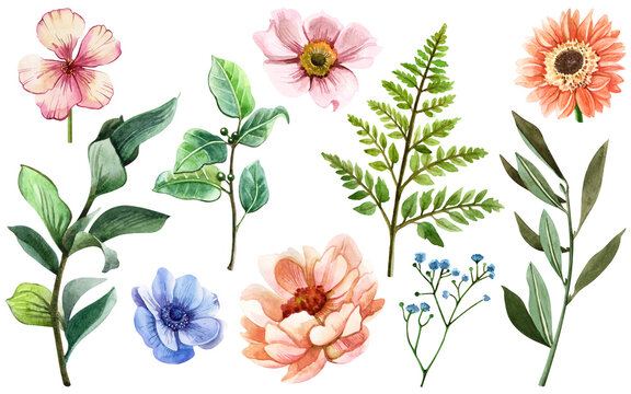 Hand-painted watercolor spring botanical clipart set with pink, peach and blue flowers, leafy branches and floral elements for cards, invitations, stationery, backgrounds and creative designs