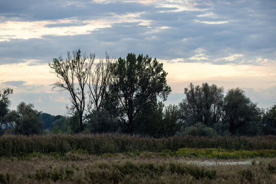 Scenic Morning Danube River Landscape near Winzer and Vilshofen in Lower Bavaria, Germany