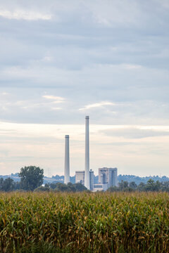 Industrial Factory Chimneys Standing Behind Agricultural Cornfield in Rural Morning Landscape