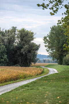 Scenic outdoor path along green fields and trees for cycling, walking, recreation, and sports in rural Lower Bavaria.