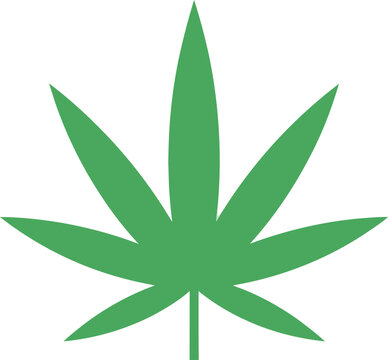 Green Cannabis Leaf Icon Isolated on White