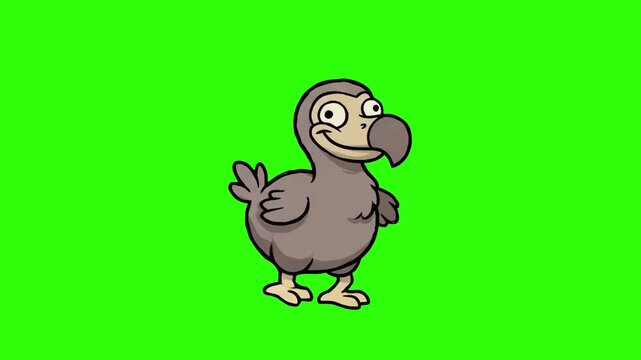 A silly 2D animated dodo bird dancing with joyful moves on a chroma key green background. Ideal for children's storytelling, extinct animal topics, funny game characters, and cartoon video overlays
