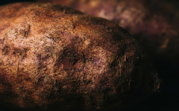 Close up macro shot of a raw organic sweet potato with rough textured skin highlighting natural food details for healthy cooking and culinary concepts