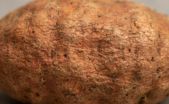 Macro close up of brown potato skin texture for organic food background and natural background concept