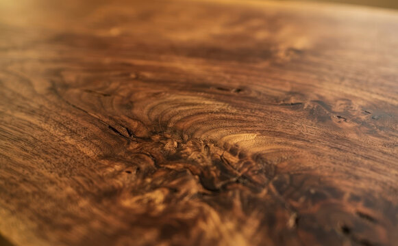 Closeup of polished dark walnut wood grain with natural burl patterns and warm tones for interior design and furniture background