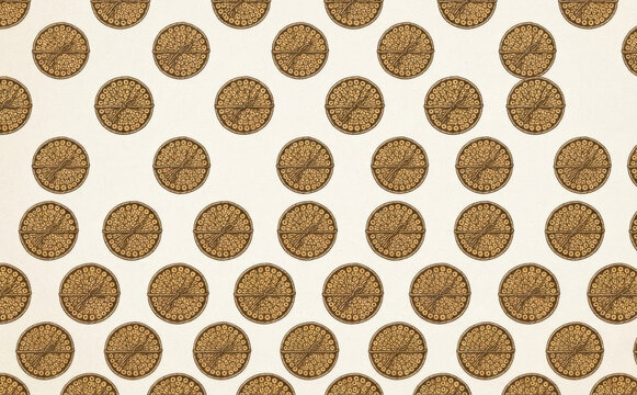 Vintage coin pattern wallpaper with historical currency motifs and antique gold coin illustrations for retro background and textile design