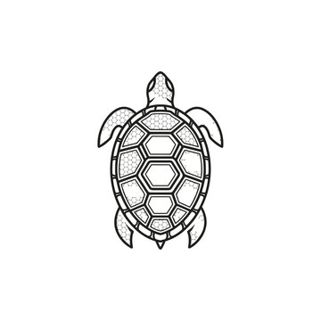 Stylized Turtle Silhouette with Hexagonal Pattern