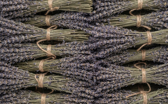 Dried lavender bunches arranged neatly in rows as background, rustic herb bundles tied with twine for aromatherapy, wellness, and natural home decor concepts