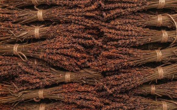 Dried lavender bunches arranged neatly in rows forming a rustic botanical background texture pattern ideal for aromatherapy and natural wellness design projects
