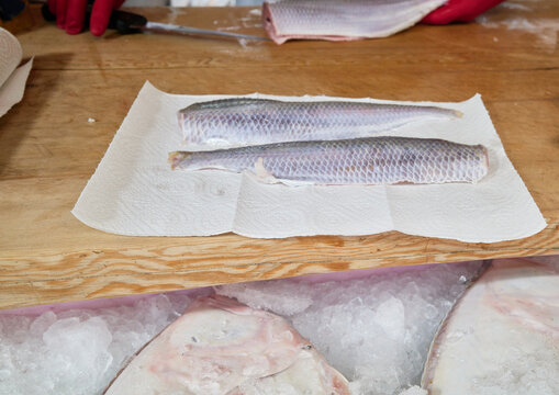 Authentic preparation of premium chilled raw croaker and ilisha fillets at a traditional coastal market This candid scene provides ideal visual context for regional gastronomy and marine industry medi