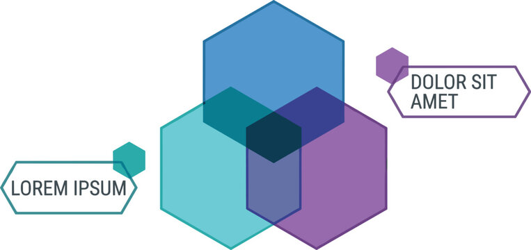 Abstract geometric infographic layout vector featuring three overlapping transparent hexagon shapes and outline text pointer labels