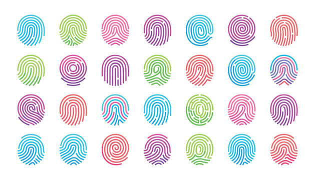 Colorful fingerprint vector icon set featuring biometrics scan symbols, digital identity verification elements, security touch access graphics, and unique human thumbprint pattern illustrations
