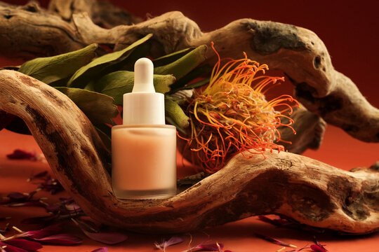 Cosmetic serum bottle on delicate flowers background, natural  scincare cosmetics, beauty and facial care concept image, selective focus, shallow DOF