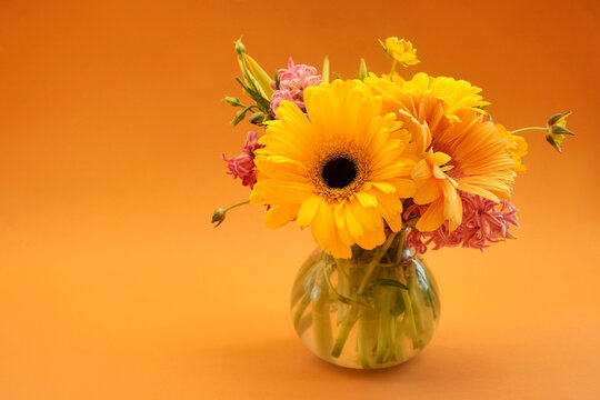 Autumn blossoming delicate yellow gerberas on blooming flowers festive background, fall bouquet floral card, selective focus