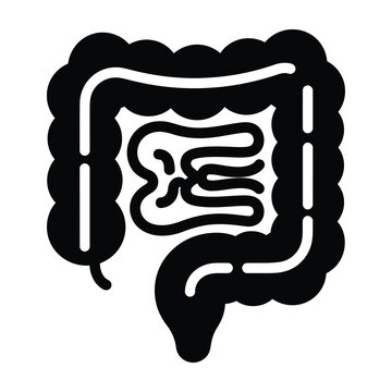 Black and white illustration of human large intestine