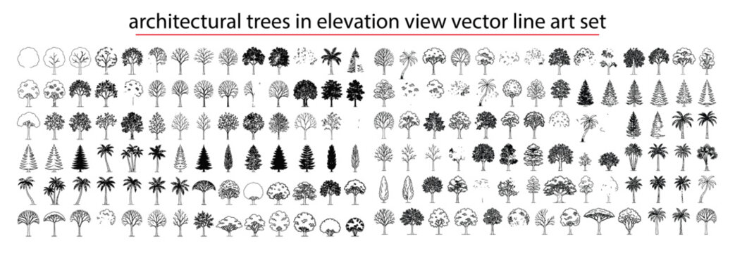 Architectural tree CAD vector library, 23 elevation view tree symbols with conifers, broadleaf, palms and seasonal foliage for landscape plans, site design and architectural drafting