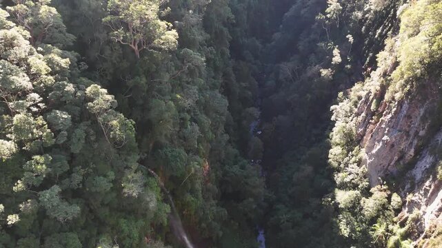 Aerial View of Lush Rainforest Canyon in Lamington National Park