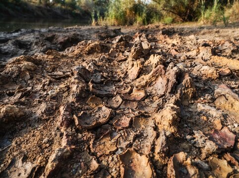 Cracked dried mud with deep textures and formations on riverbed.