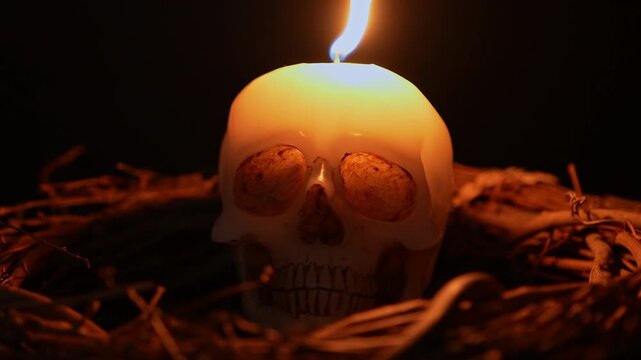 Human skull wax mold with fire flickering on the wick surrounded by twigs and sticks from the forest. Occult and esoteric witchcraft still life. Halloween background with magic ritual arrangement.