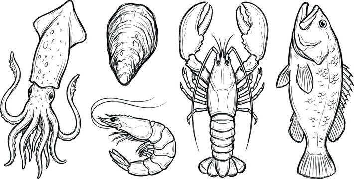 Hand drawn marine life and seafood vector sketch collection for restaurant menu and packaging design