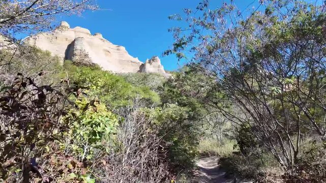 Camera moves along a sunlit forest trail beneath pale sandstone cliffs and clear blue sky in Serra da Capivara National Park Brazil