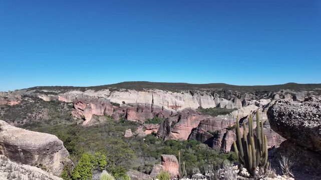 Scenic wide shot of eroded sandstone canyon walls and rock pillars above green caatinga valley with tall cacti under clear blue sky at Serra da Capivara Brazil