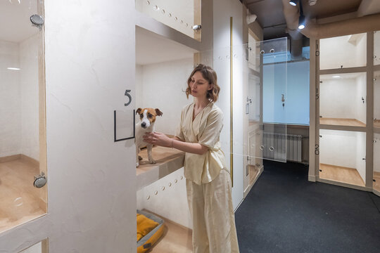 A Jack Russell Terrier at an animal shelter. A dog at an animal shelter in a cage with a glass door.