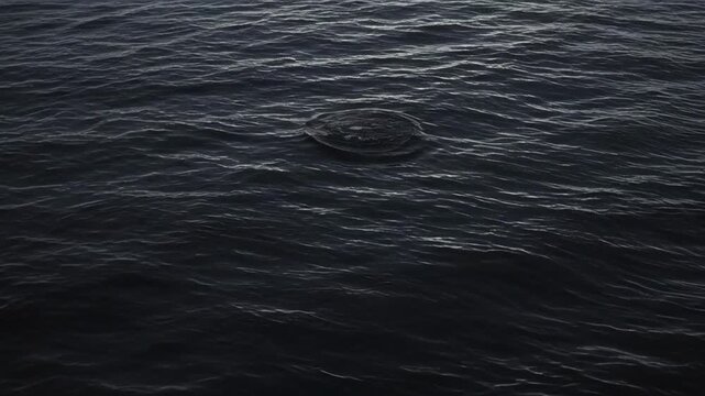 Dark sea surface with circular wave ripple surrounding marine animal in deep water, tranquil ocean texture and abstract pattern for moody natural aquatic background and atmospheric design imagery