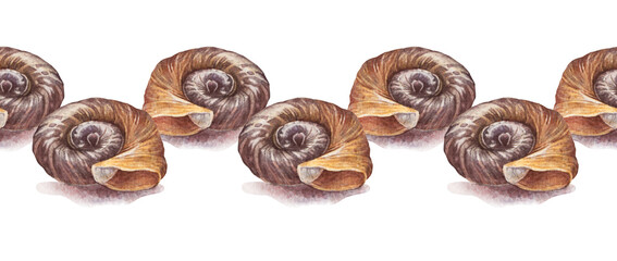Watercolor seamless border with brown yellow sea shell with shadow on white background. Creative hand-drawn nature realistic rim for celebration card. River element for wallpaper or wrapping © NatashaKun