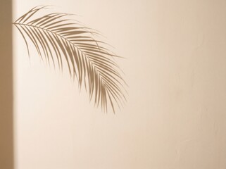 Soft shadow of a palm leaf cast on a textured beige wall in sunlight tropical © platobanpo