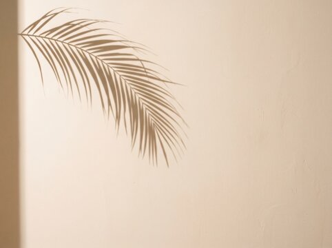 Soft shadow of a palm leaf cast on a textured beige wall in sunlight tropical