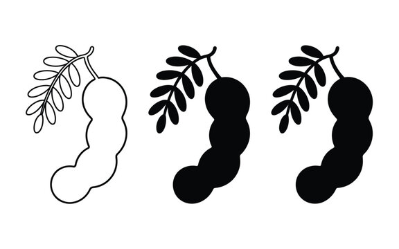 Fresh tamarind pod line art outline and black silhouette set vector illustration isolated on white background for design.