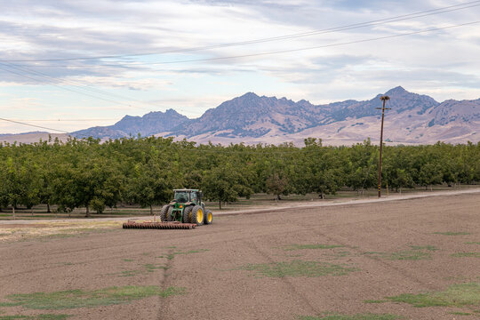 A tractor sits parked in a Yolo County walnut orchard shortly after sunrise, as officials extend a moratorium on new farm wells amid groundwater strain, California, September, 2026.
