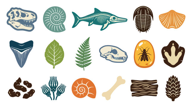 Collection of Paleontology and Archaeology Flat Vector Illustrations: Fossils, Bones, and Ancient Artifacts