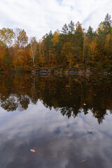 Fototapeta premium Colorful autumn forest stretching along shore of calm lake with vibrant trees reflected in still water. Golden orange and red foliage covers the woodland creating peaceful seasonal landscape. The