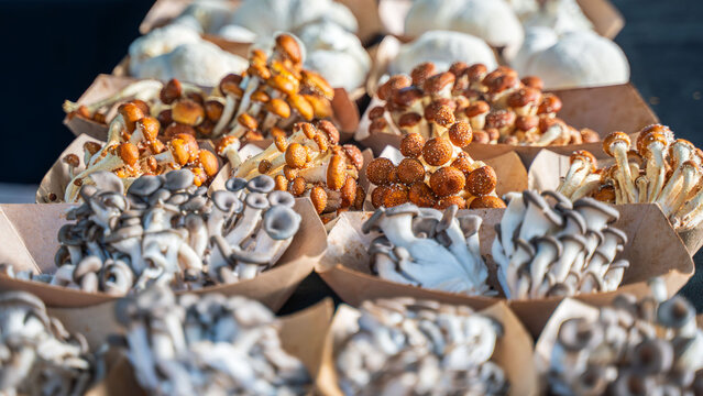 Fresh pioppino mushroom. Flea market, or wet market are places where local crops are sold. The mushroom is commonly grown in temperature weather. Rich in nutrition, can be stir fried or steamed.  