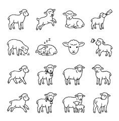 Obraz premium Cute sheep and lambs in various simple line drawing poses for children's books and farm themes