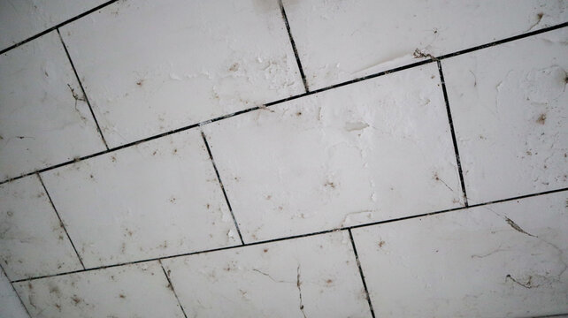Low angle view of damaged ceiling tiles with peeling paint and grime