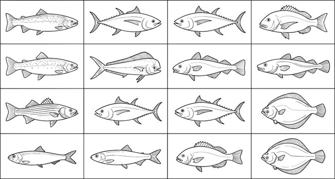 Hand drawn linear sketch vector set of seafood fish commercial species including tuna salmon cod and flounder