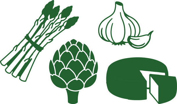 Vintage green vegetable icons, organic asparagus and garlic line art, artichoke and cheese wheel vector set for restaurant menus