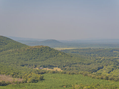 Lush forested hills and valley landscape in Arkansas