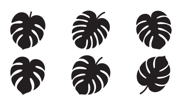 Tropical monstera leaves silhouettes collection for nature and exotic plant design elements.